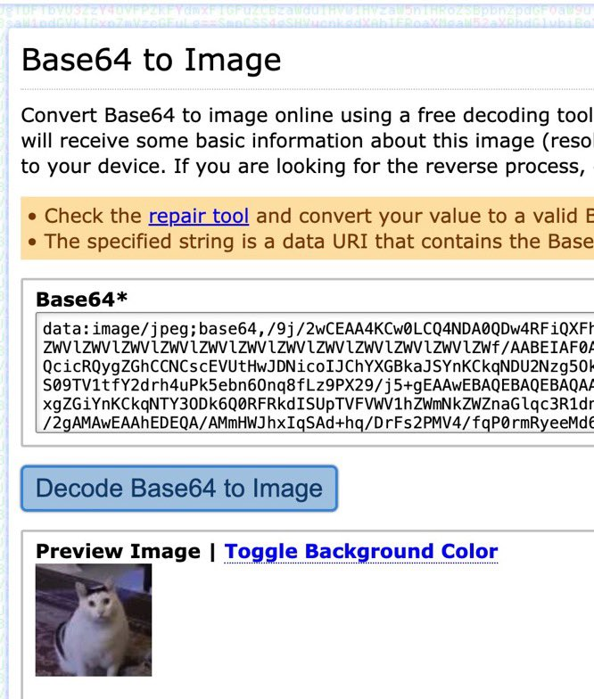 Base64 to Image decoding proof verifying Huh Cat